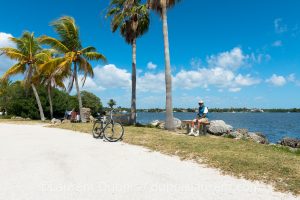 Matheson Hammock Park - Old Cutler Road - Miami - Floride - USA - 2014 - © All rights reserved by Laurent Dubois