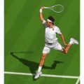 Roger Federer - aka Le Maestro - Wimbledon -  in série GOAT(s) - © All rights reserved by Laurent Dubois.